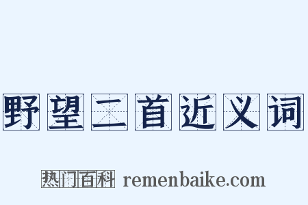 野望二首近义词是什么意思的图片